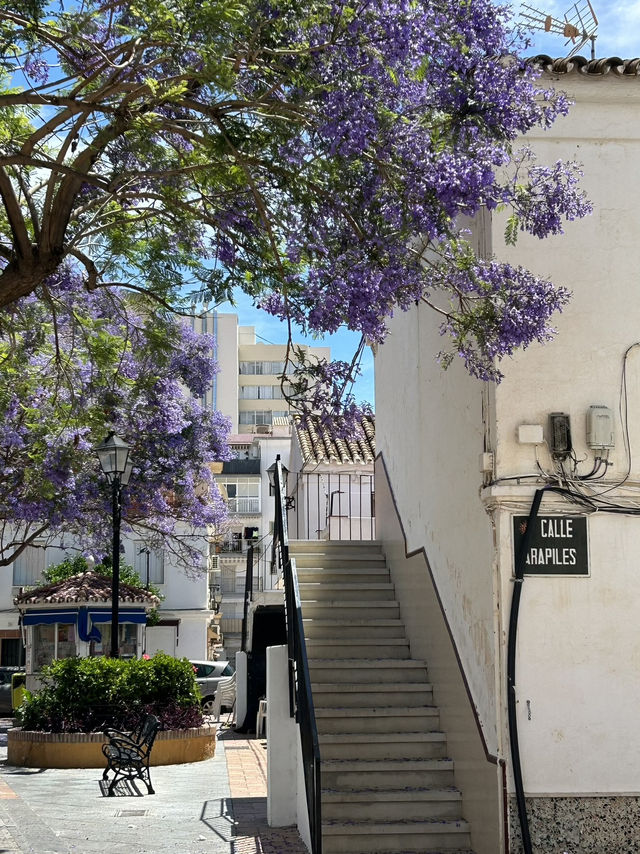 Magic Malaga in May