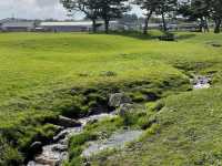A beautiful coast where you can meet a variety of landscapes