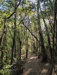 해외여행 칠레 푸에르토 바라스의 Saltos del Rio Petrohue Park