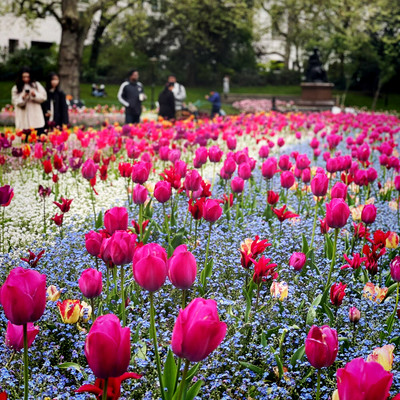 Victoria Embankment Gardens