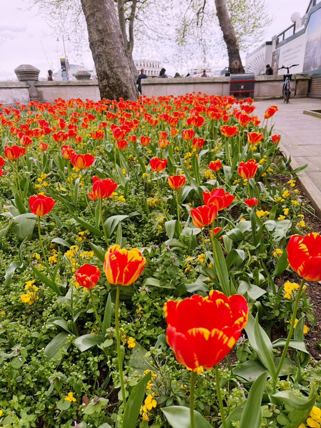 🇬🇧 Best City Walk in London