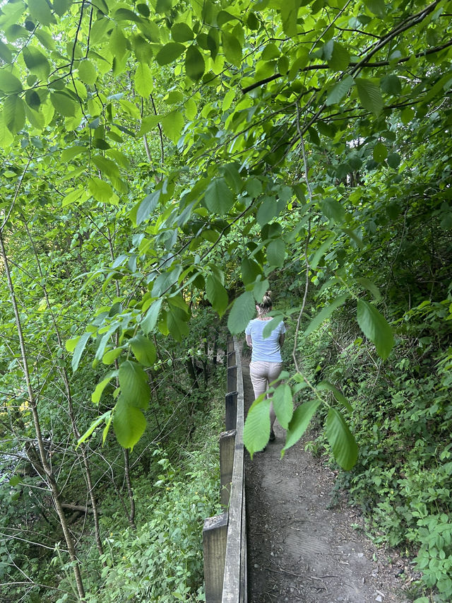 Down by the river 