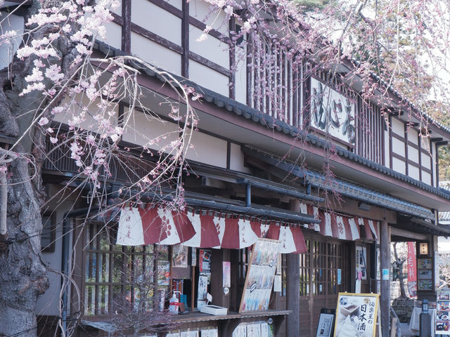 大阪去松島景點必去