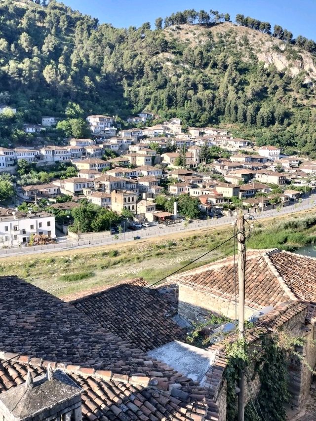 berat🪟