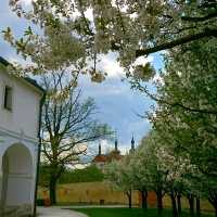 🏰✨ “Renaissance Beauty & Secrets: Březnice Castle” 🇨🇿