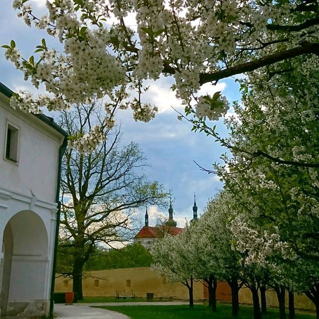 🏰✨ “Renaissance Beauty & Secrets: Březnice Castle” 🇨🇿