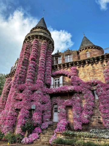 로맨틱한 탈출: 샤토 드 카스텔 노벨 탐방