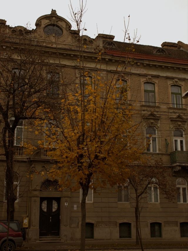 ✈️ Discovering Timișoara: The Cultural Capital of Western Romania