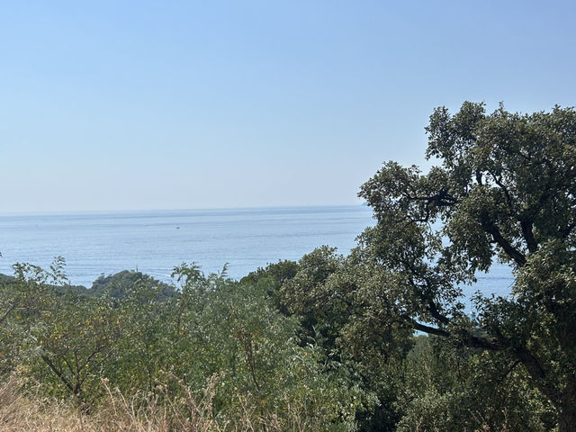 A road with a view 