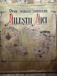 🚗 Driving Through a City of Wine: The Marvel of Mileștii Mici