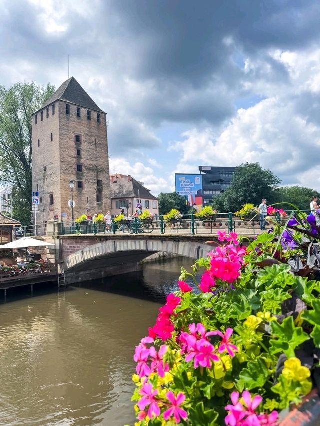 Enchanted Halloween Magic in Strasbourg! 🧙‍♀️✨