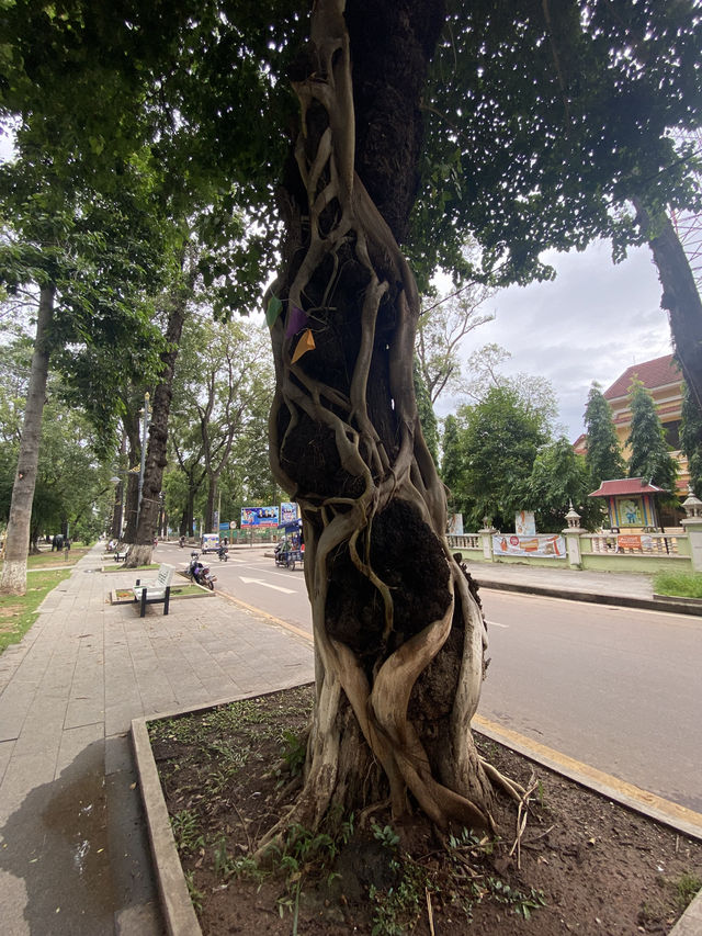 Сиемреап, Камбоджа.