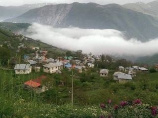 🍁 Dalkhani Forest – Misty Autumn in Ramsar 🌫️