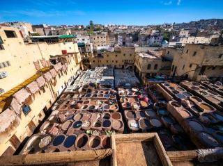 Fez Tannery Experience: A Feast for the Senses