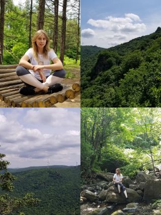 Mountain Calm🌲 The Forest Path – Quiet Among the Pines 🌲