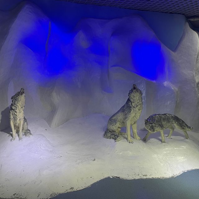 Underwater world Aquarium 
