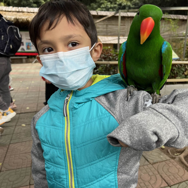 Fun experience at Shenzhen Safari Park