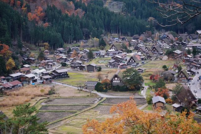 Off-the-beaten-path destinations for viewing autumn leaves in Japan.