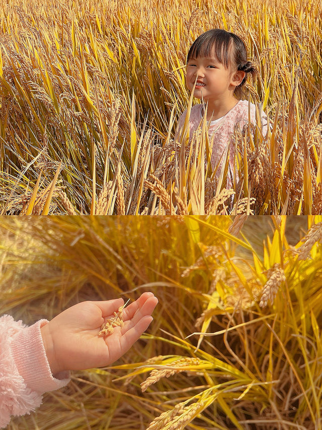 必去上海新開免費寶藏美術館 必去上海新開免費寶藏美術館