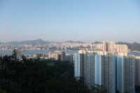 西灣河後山小徑．一小時散步之旅