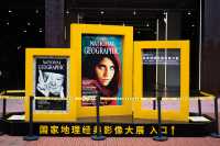 人生建議！來成都一定要看完這個藝術展再走