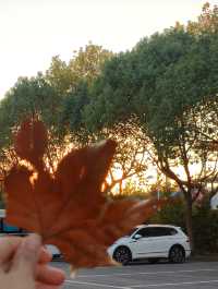 無錫秋日氛圍感 蠡湖中央公園