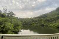 八仙嶺x黃嶺x屏風山．樓梯大挑戰