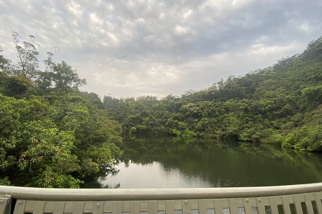 八仙嶺x黃嶺x屏風山．樓梯大挑戰