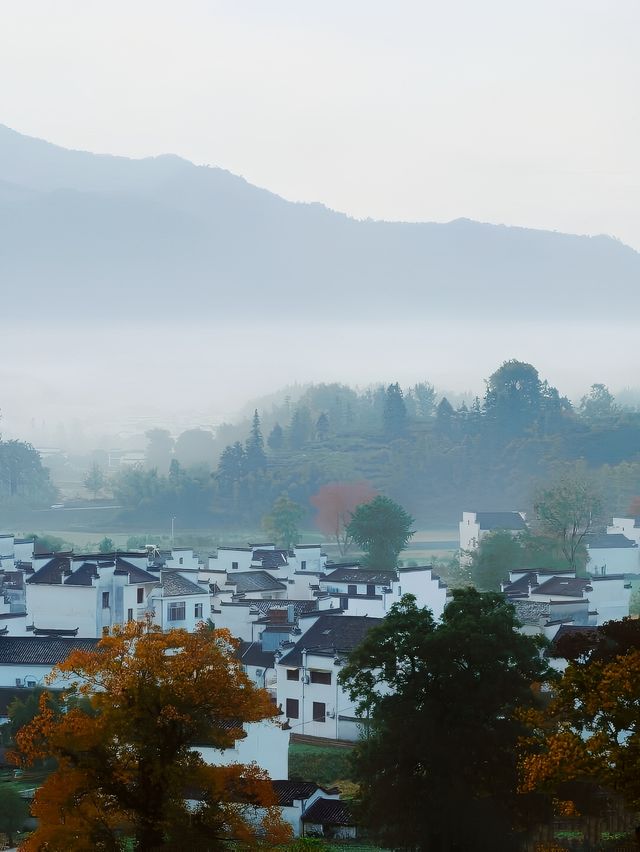 你一定要來卢村看一看，卢村的景色更加充滿生活氣息，遊客非常的少，古樸的田園風光處處可見，卢村的歷史悠久，整個村子沿溪而建，村子的主要街道在小溪的兩旁，卢村充滿了有山有水的田園風情，是個充滿了詩情畫意的皖南鄉野村落