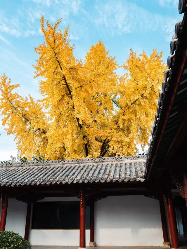 武漢旅遊｜不要錯過看歸元寺的銀杏許好運