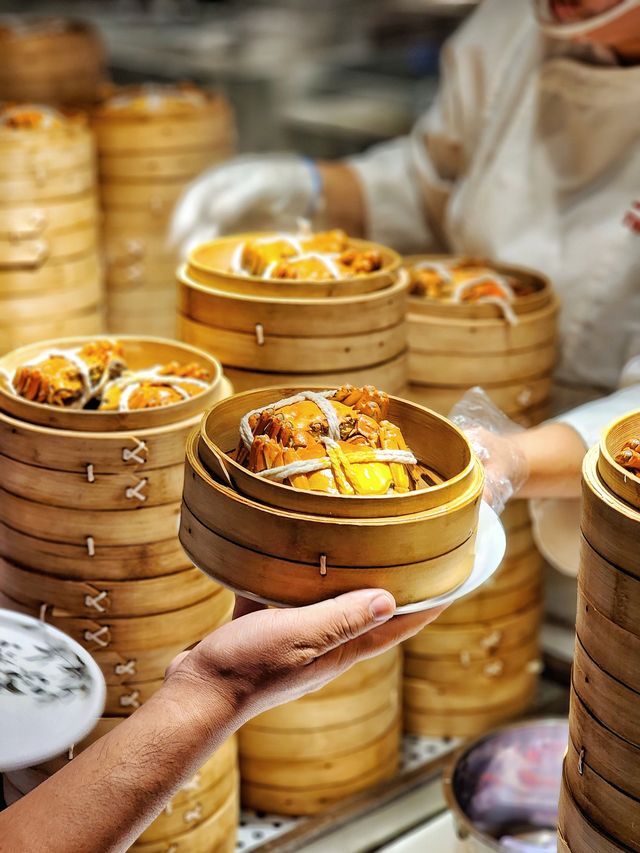 上引＋待上一天不過癮🪼來過一次就上癮!!!