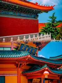上上簽！龍口南山祈福之旅~