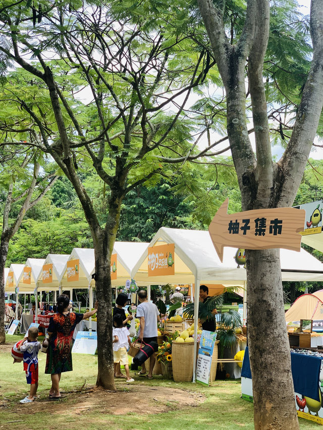 西雙版納｜去了熱帶花卉園n次，總結出3種玩法