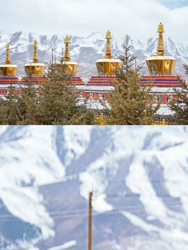 藏身於祁連山下的高原明珠--阿柔大寺青甘藏區