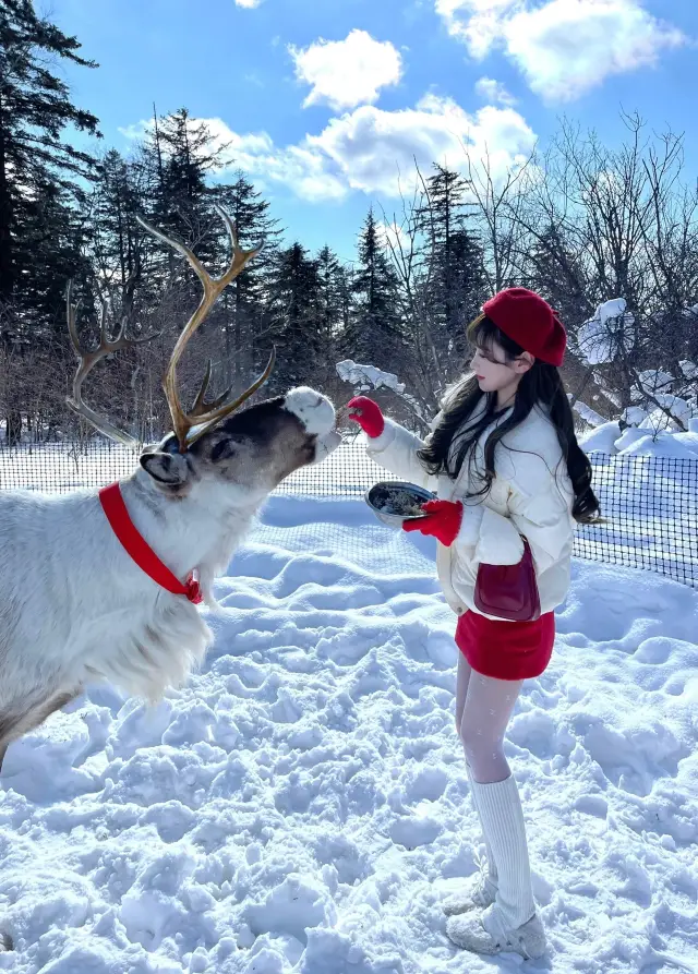 Xueling| Fairy tale ice and snow kingdom and small deer chartered to avoid thunder