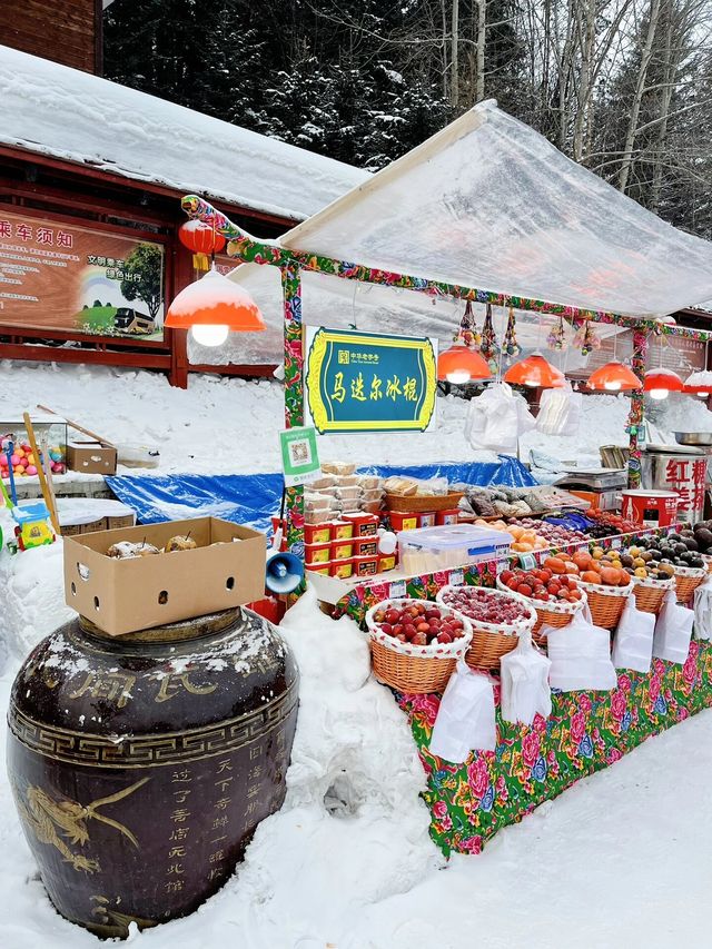 東北哈爾濱 雪鄉旅遊攻略