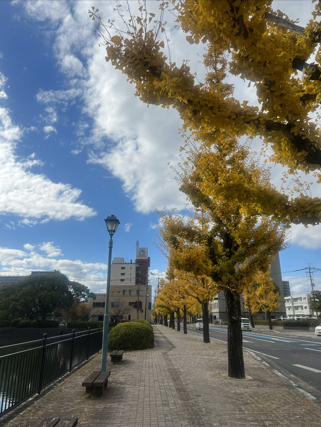 日本旅行｜上海-佐質之交通住宿保姆級教程