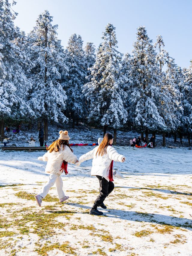 武隆仙女山冰雪季，畅享冬日浪漫！