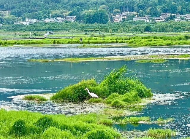 騰沖·北海濕地｜讓人心醉的打卡聖地