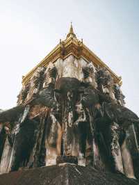 🇹🇭清邁清曼寺 Wat Chiang Man