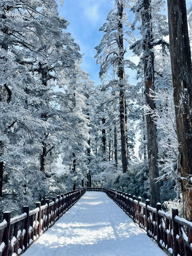 ！四川西部的餘波比失戀還大！