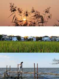 發現上海｜青浦半日遊，根本玩不夠好嘛