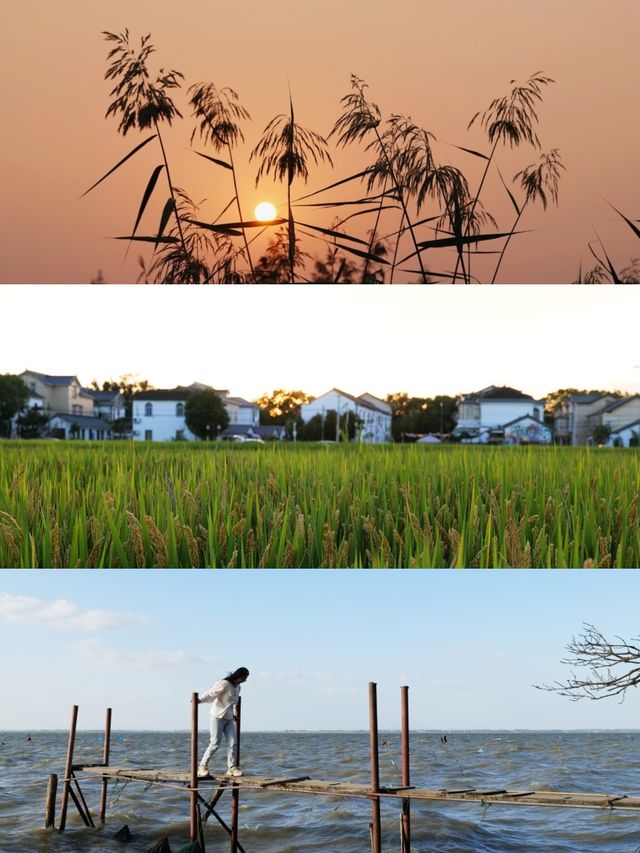 發現上海｜青浦半日遊，根本玩不夠好嘛