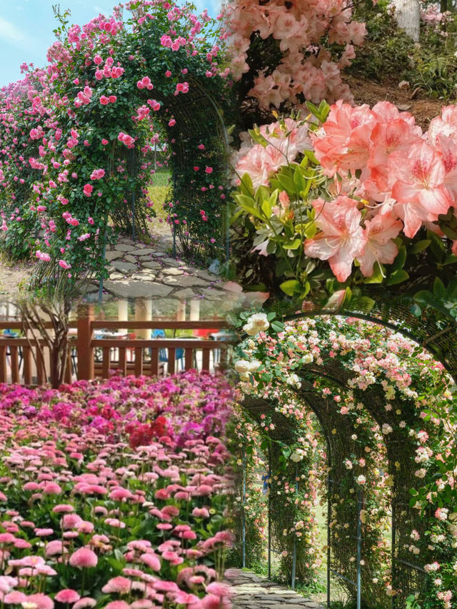 成都 成都植物園 ｜天然氧吧，森系寶藏公園