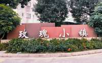 打卡-深圳玫瑰小鎮