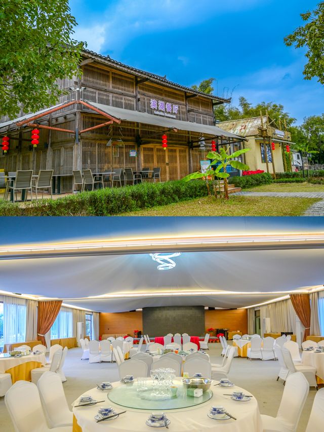 好去處！廣州北緯23°8’森林營地！！！