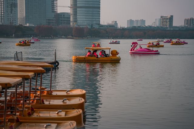 初一南京玄武湖