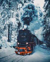 Uncover the Magic of Winter in Germany! ❄️ Two Must-Visit Destinations: Brockenbahn and Schloss Neuschwanstein! 🚂