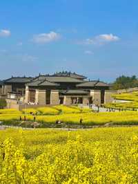 探索成都之美：成都雙流廣都博物館春日賞花之旅