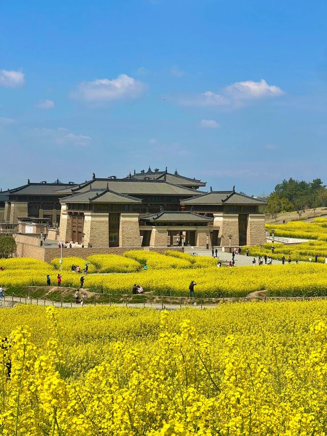 探索成都之美：成都雙流廣都博物館春日賞花之旅